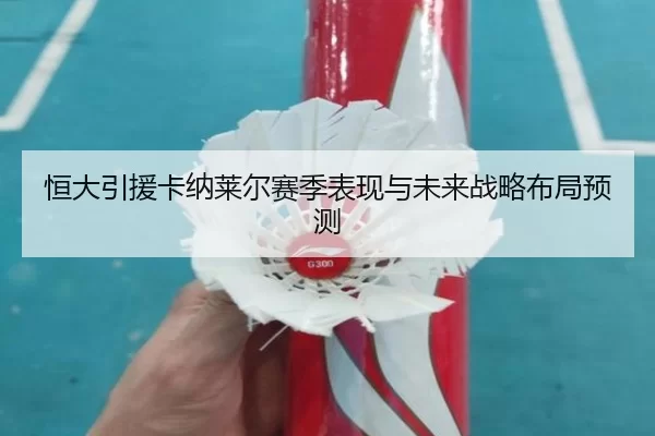 恒大引援卡纳莱尔赛季表现与未来战略布局预测